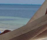 Review your Australian mortgage while overseas